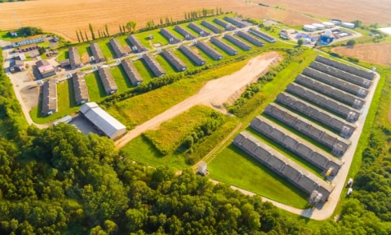 Some agricultural buildings